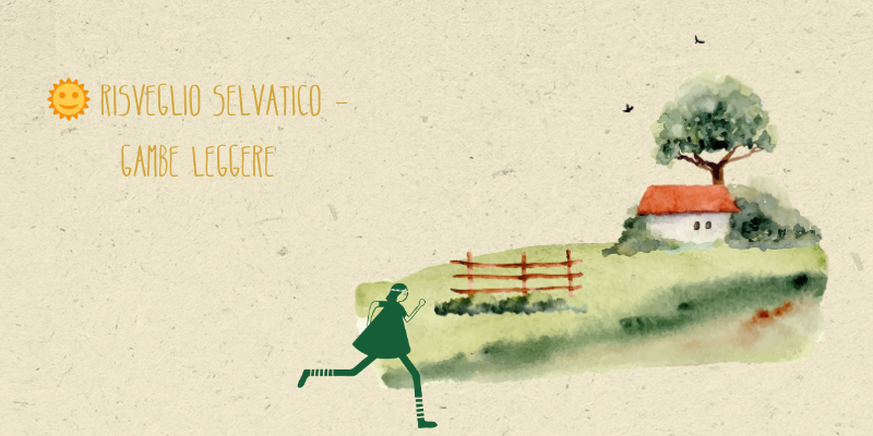 🌞 Risveglio Selvatico – Routine Tonificante Gambe & Glutei