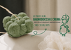 Erba della Tigre  – Crema e Bagnodoccia Solido 2 in 1 Pelle Grassa